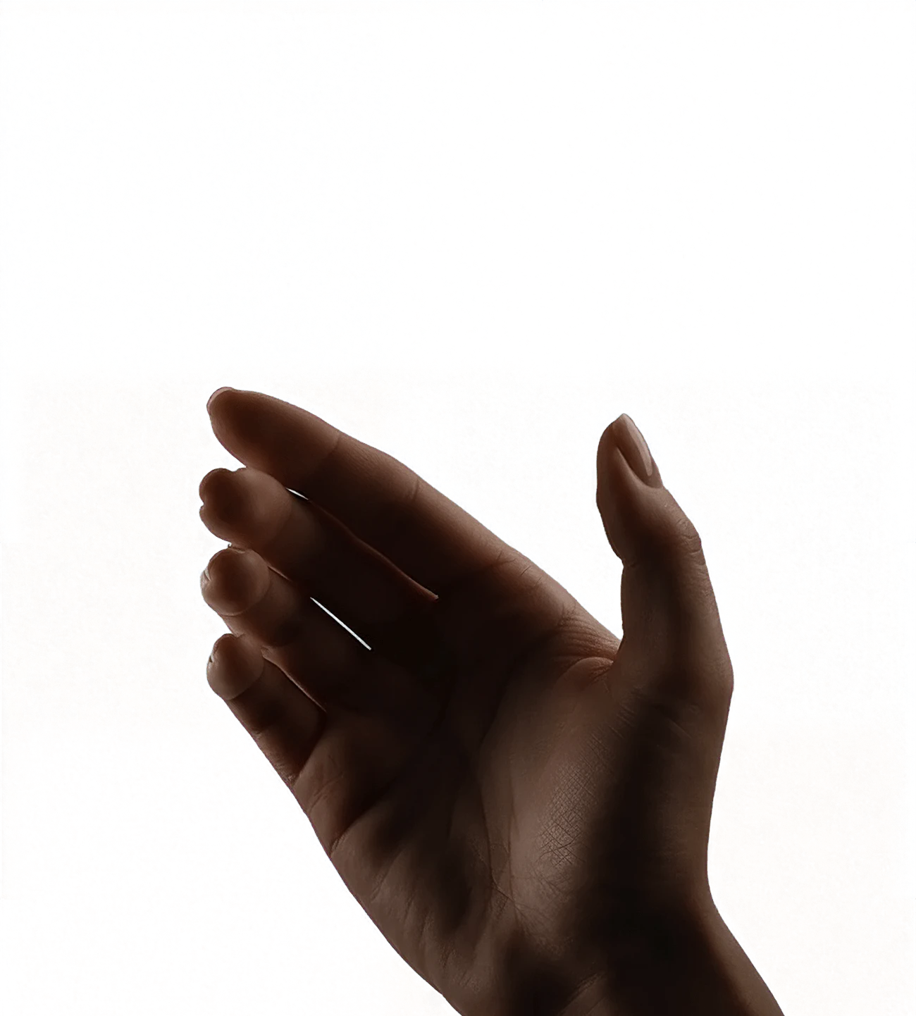 Hand holding phone